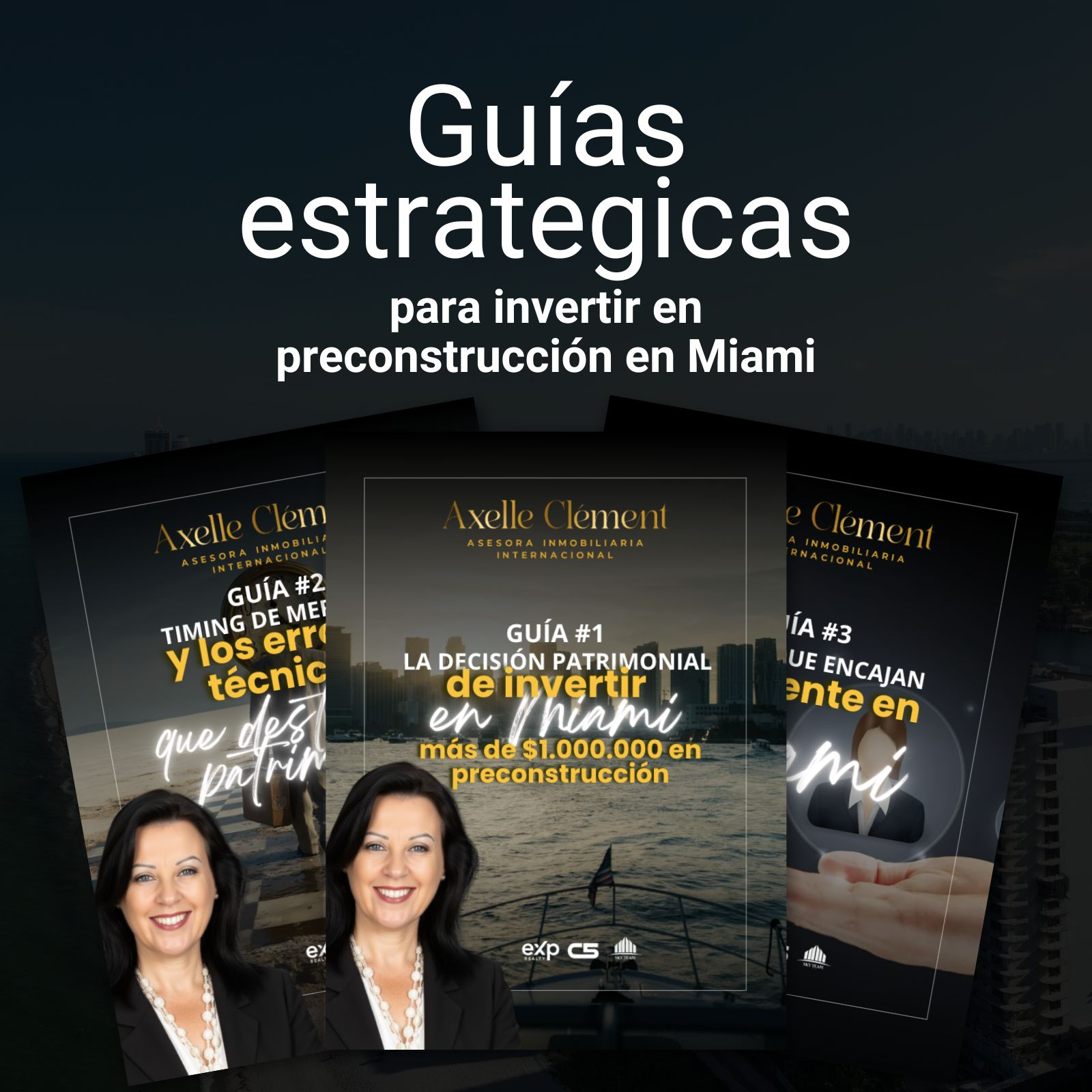 fondo oscurecido del paisaje de las playas de miami y florida